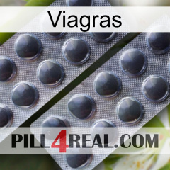 Viagras 31